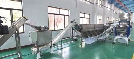 核桃去青皮清洗、提升機